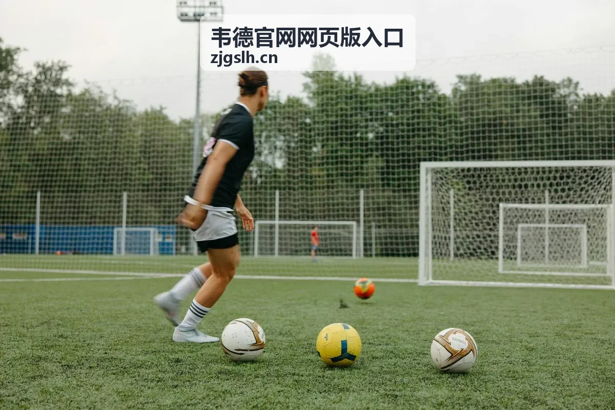 韦德官网网页版入口在常见浏览器中的兼容性对比