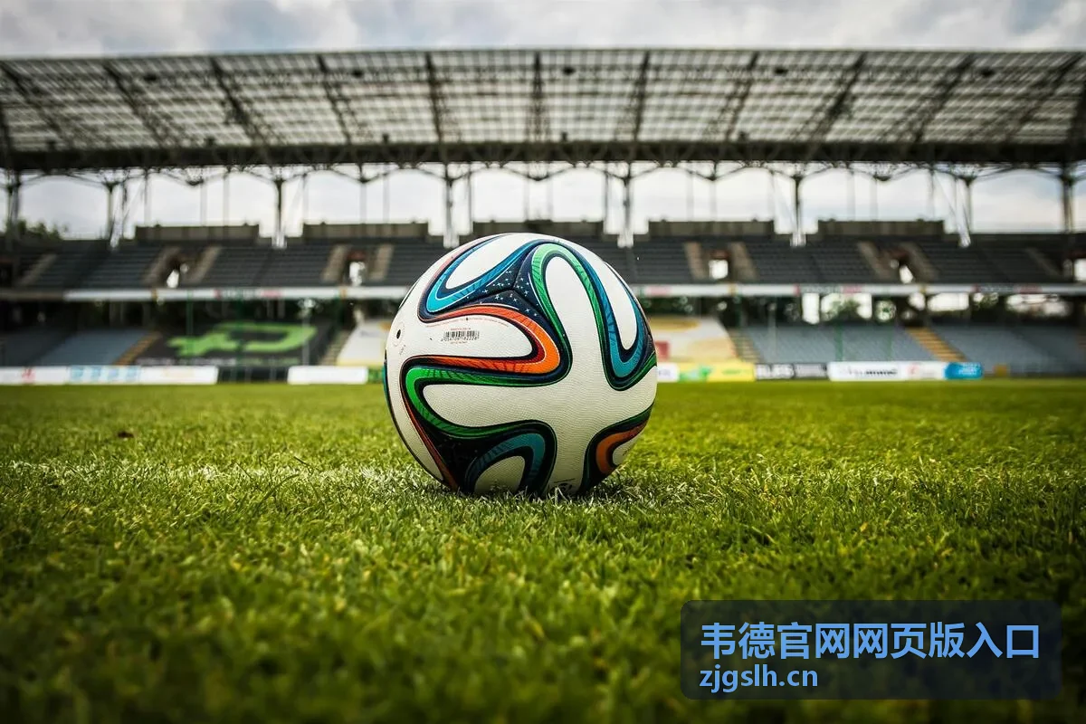 不同网络环境下韦德官网网页版入口的访问稳定性